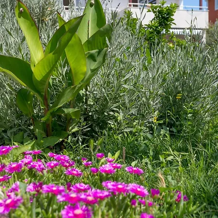 With Parking Space Kastel Stafilic - - 20843